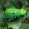 Bionic Cockroach Electric Toy